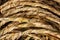 Coarse coir rope texture