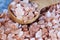 Coarse Himalayan Pink Salt Spoon