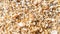 Coarse sand texture background