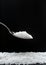 Coarse sea salt in a spoon on black background with copy space