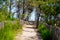 Coast access leading to ocean beach atlantic coast at le Porge near Lacanau in France