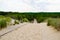 Coast access sand sea pathway fence after pine forest to ocean dune beach atlantic coast in France