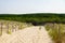 Coast access sandy sea pathway fence after pine forest to ocean beach atlantic coast at Lacanau in France