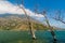 Coast of Atitlan lake, Guatemala. Rising levels of this lake causing submersion of tree