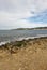 The coast in the bassa cove of San Antonio, Ibiza