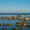 Coast filled with small stones mixed with grass