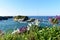 Coast with flowers and small rock islands. Ribadeo, Spain.