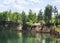 Coast forest lake with crystal clear water, which reflects the trees, beautiful prorodny landscape blue sky