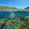 Coast Galicia Spain colorful algae Atlantic ocean