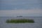 The coast of the Gulf of Finland, Peterhof, St. Petersburg. Summer day, contrasting lighting, pre-storm blue thick textured sky. T