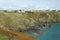 Coast at Housel Bay, The Lizard, Cornwall, England, UK