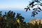 Coast of Ionian Sea near Taormina city
