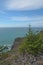 Coast near flint ridge, Redwoods State Park, CA