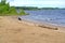 The coast of the Rybinsk reservoir in the settlement Searches. Yaroslavl region