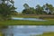 On the coast of St George Sound near Carrabelle, Florida.