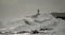 Coast with strong waves and lighthouse