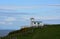 Coast to Coast Pathway Passing By Coastguard Station in England