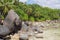 Coast of tropical island. Anse Royal, Mahe, Seychelles