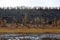 Coast of the wild Siberian taiga river with mounds of glacial erosion