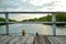 Coastal area with clear sky and dense mangrove vegetation on the background. The glimpse of clear ocean make an appearance within