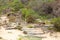 Coastal Beach Wilderness Pathway Stairs