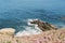 Coastal beach wildlife landscape scene of southern California. Sea lions lying on cliff rocks in La Jolla Cove, in San Diego