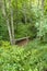 Coastal Beech Forest of Caviedes, Oyambre Natural Park, Cantabria, Spain