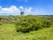 Coastal biotope of the island Santa Cruz, Galapagos, Ecuador.