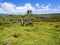 Coastal biotope of the island Santa Cruz, Galapagos, Ecuador.