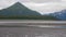 Coastal brown bears on tidal flats