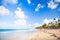 Coastal Caribbean landscape. Sandy beach view