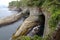 Coastal Cliffs at Cape Flattery