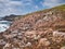 Coastal debris among eroded rocks, near Culswick on Mainland, Shetland, UK