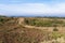 Coastal Dirt Road Winding Through Natural Vegetation Towards Oc