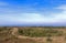 Coastal Dirt Road Winding Through Natural Vegetation Towards Oc