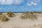 Coastal dune with trails, wild grass with beach and sea in the background