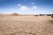 Coastal dunes in Maspalomas