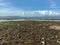 A Coastal Ecosystem: Seagrass and Debris on Galo-Galo Island Beach, Morotai