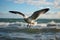 Coastal elegance Seagull soars gracefully against a vast sea backdrop