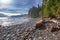 Coastal Fog Rugged Sombrio Beach Juan De Fuca Marine Hiking Trail Vancouver Island BC Canada