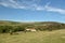 Coastal footpath above Tyneham