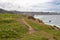 Coastal footpath through wildflowers with seagull flying above,