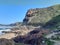 Coastal forest next to the sea with rocky cliffs