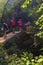 Coastal hiking trail in Monterosso al Mare, Italy