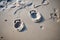 Coastal imprints Closeup photo captures human and child footprints