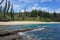 Coastal landscape beach endemic pine New Caledonia