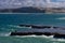 Coastal landscape with cliffs in Peninsula Valdes,