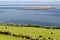 Coastal landscape - Isle of Arran - Scotland