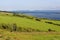 Coastal landscape - Isle of Arran - Scotland