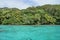 Coastal landscape lush forest French Polynesia